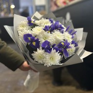 Звездная ночь Звездная ночь